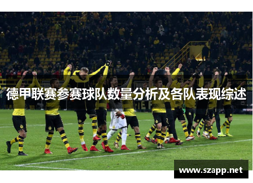 德甲联赛参赛球队数量分析及各队表现综述