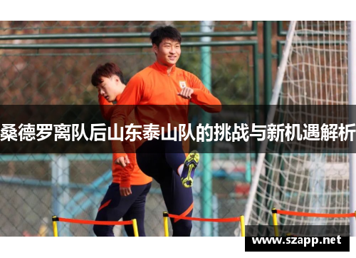 桑德罗离队后山东泰山队的挑战与新机遇解析