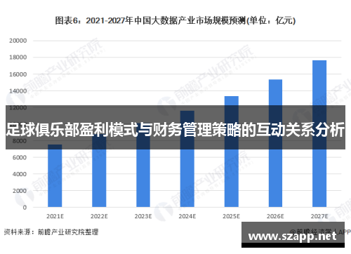 足球俱乐部盈利模式与财务管理策略的互动关系分析 足球俱乐部盈利模式与财务管理策略的互动关系分析
