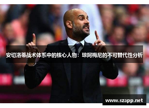 安切洛蒂战术体系中的核心人物：琼阿梅尼的不可替代性分析